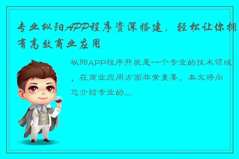专业枞阳APP程序资深搭建，轻松让你拥有高效商业应用