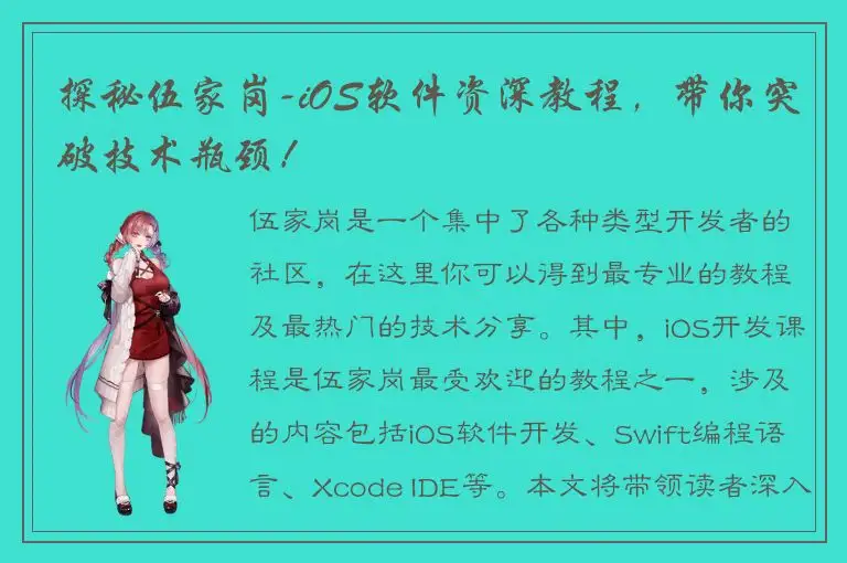 探秘伍家岗-iOS软件资深教程，带你突破技术瓶颈！