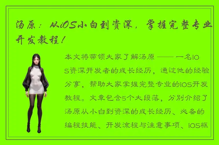 汤原：从iOS小白到资深，掌握完整专业开发教程！