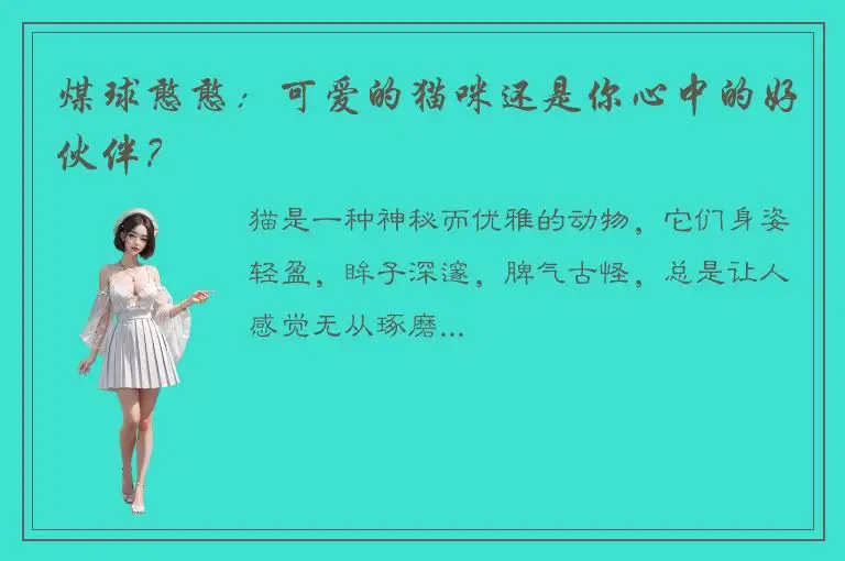 煤球憨憨：可爱的猫咪还是你心中的好伙伴？