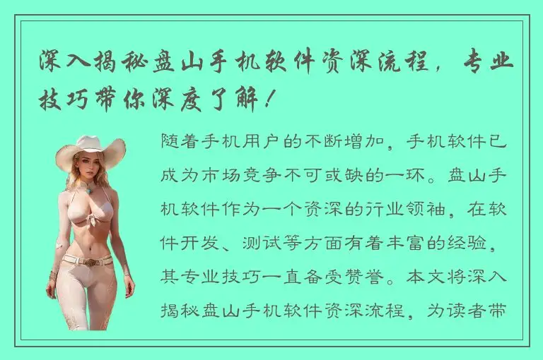 深入揭秘盘山手机软件资深流程，专业技巧带你深度了解！