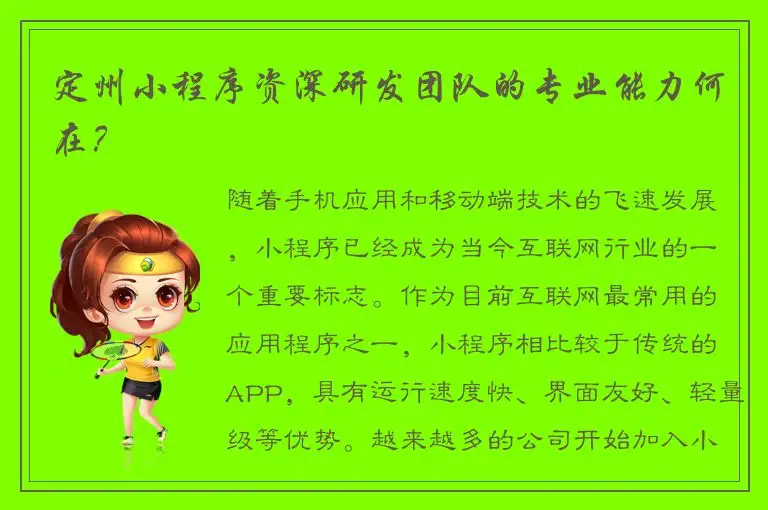 定州小程序资深研发团队的专业能力何在？