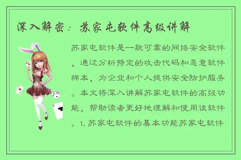 深入解密：苏家屯软件高级讲解