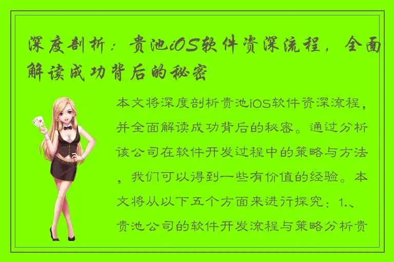 深度剖析：贵池iOS软件资深流程，全面解读成功背后的秘密