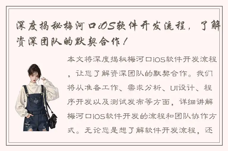 深度揭秘梅河口iOS软件开发流程，了解资深团队的默契合作！