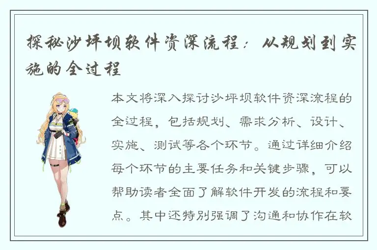 探秘沙坪坝软件资深流程：从规划到实施的全过程