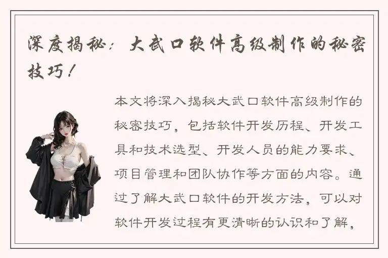 深度揭秘：大武口软件高级制作的秘密技巧！