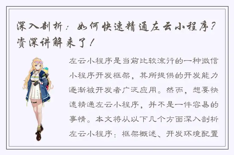 深入剖析：如何快速精通左云小程序？资深讲解来了！