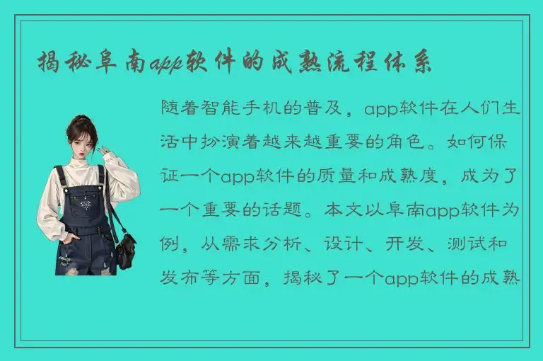 揭秘阜南app软件的成熟流程体系
