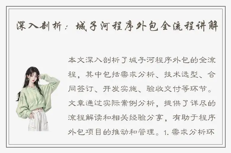 深入剖析：城子河程序外包全流程讲解