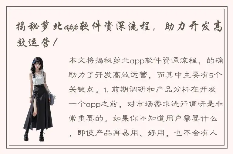 揭秘萝北app软件资深流程，助力开发高效运营！