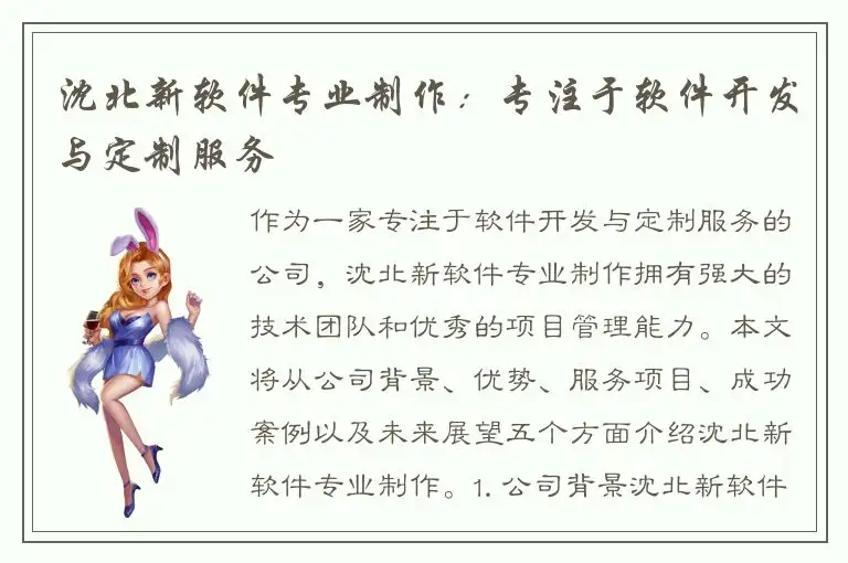 沈北新软件专业制作：专注于软件开发与定制服务