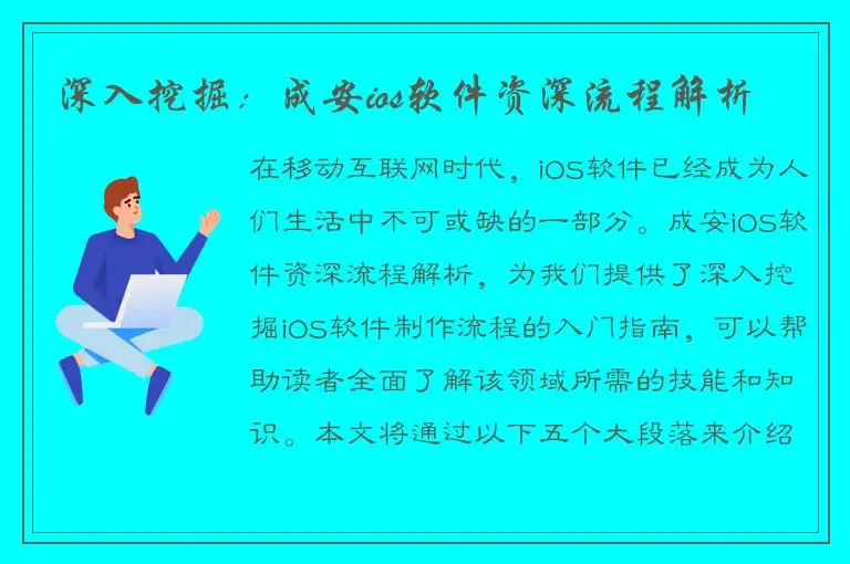 深入挖掘：成安ios软件资深流程解析