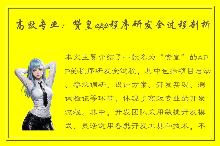 高效专业：赞皇app程序研发全过程剖析
