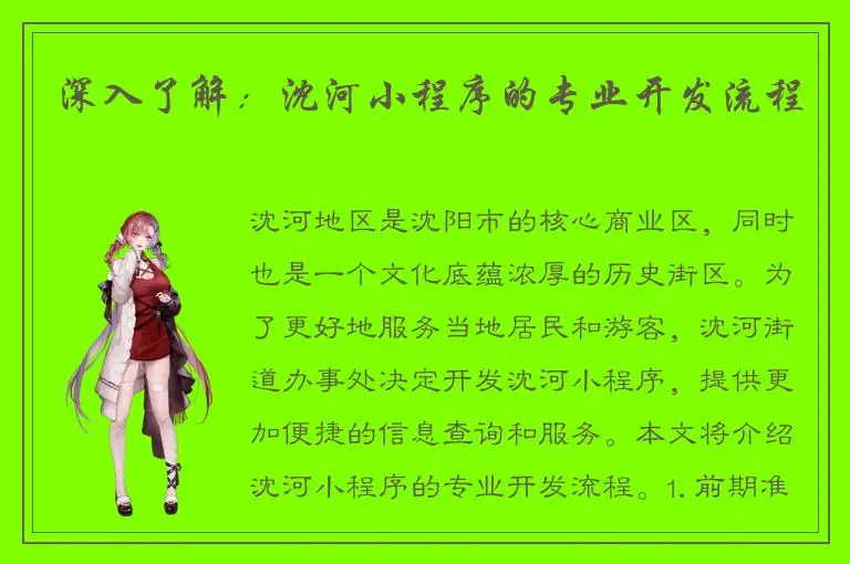 深入了解：沈河小程序的专业开发流程