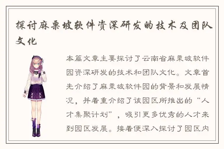 探讨麻栗坡软件资深研发的技术及团队文化