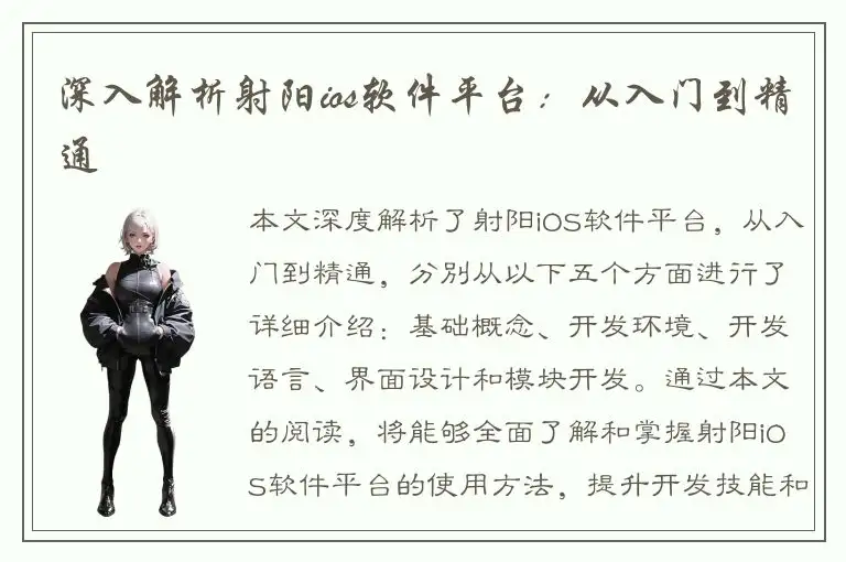 深入解析射阳ios软件平台：从入门到精通