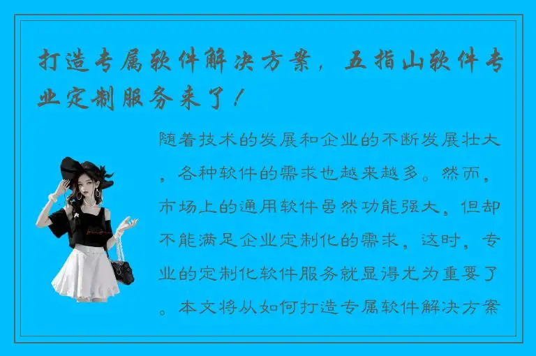 打造专属软件解决方案，五指山软件专业定制服务来了！