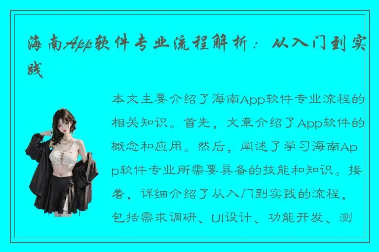 海南App软件专业流程解析：从入门到实践