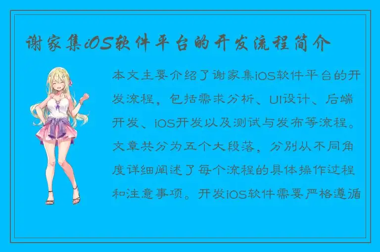 谢家集iOS软件平台的开发流程简介