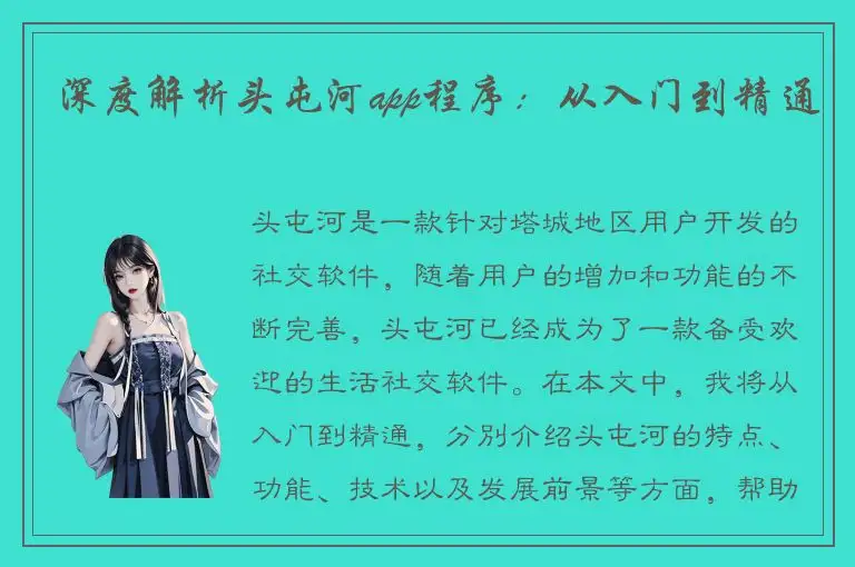 深度解析头屯河app程序：从入门到精通