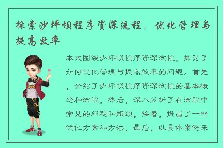 探索沙坪坝程序资深流程，优化管理与提高效率