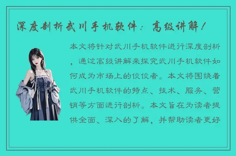 深度剖析武川手机软件：高级讲解！