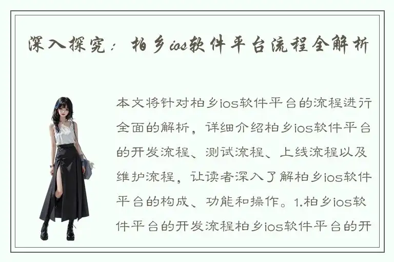 深入探究：柏乡ios软件平台流程全解析