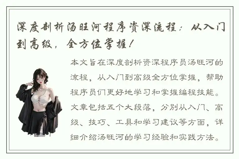 深度剖析汤旺河程序资深流程：从入门到高级，全方位掌握！