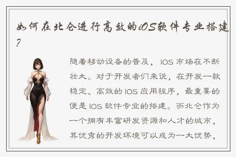 如何在北仑进行高效的iOS软件专业搭建？