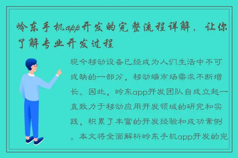岭东手机app开发的完整流程详解，让你了解专业开发过程