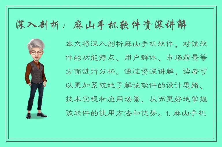 深入剖析：麻山手机软件资深讲解