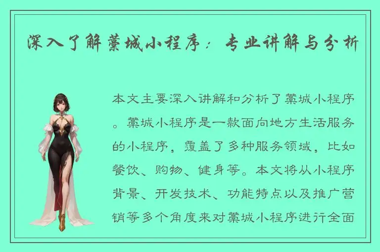 深入了解藁城小程序：专业讲解与分析