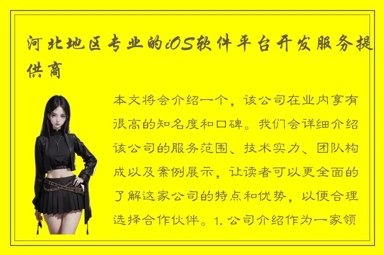 河北地区专业的iOS软件平台开发服务提供商