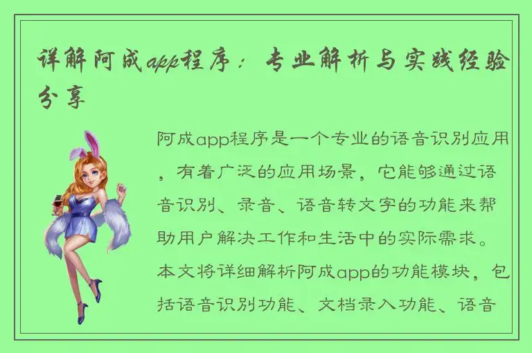 详解阿成app程序：专业解析与实践经验分享