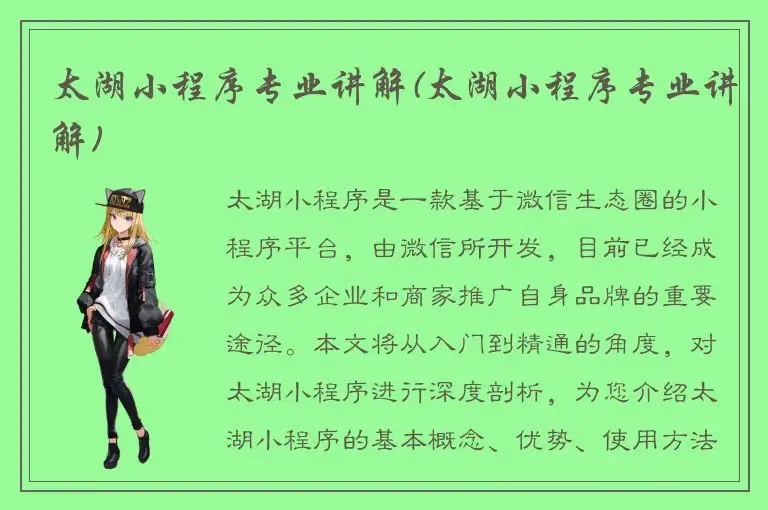 太湖小程序专业讲解(太湖小程序专业讲解)