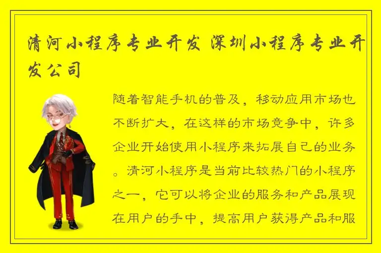 清河小程序专业开发 深圳小程序专业开发公司