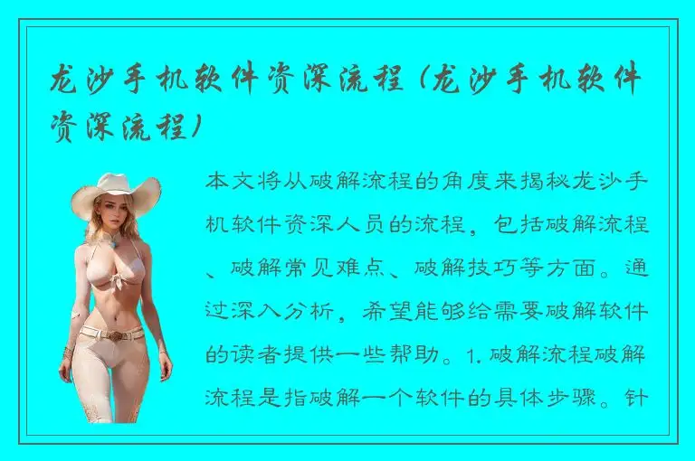 龙沙手机软件资深流程 (龙沙手机软件资深流程)