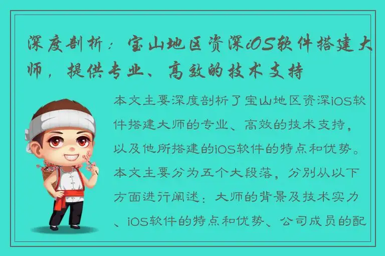 深度剖析：宝山地区资深iOS软件搭建大师，提供专业、高效的技术支持