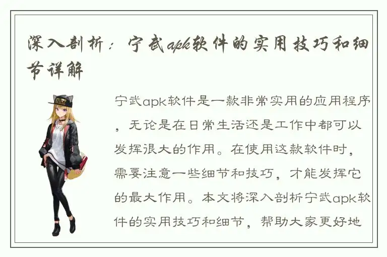 深入剖析：宁武apk软件的实用技巧和细节详解