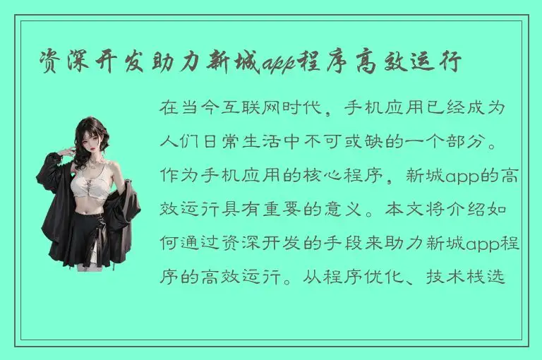 资深开发助力新城app程序高效运行