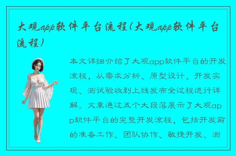大观app软件平台流程(大观app软件平台流程)