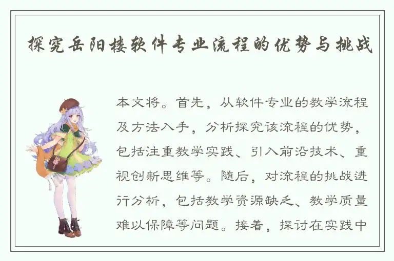 探究岳阳楼软件专业流程的优势与挑战