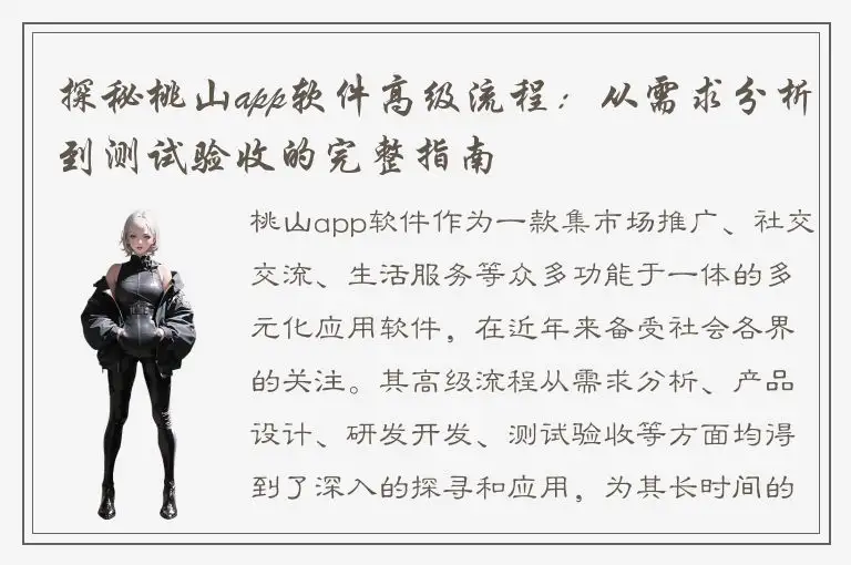 探秘桃山app软件高级流程：从需求分析到测试验收的完整指南