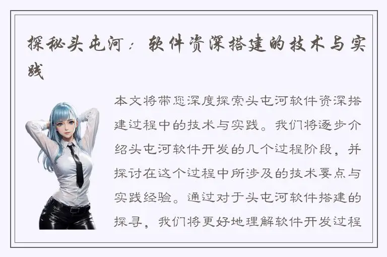 探秘头屯河：软件资深搭建的技术与实践