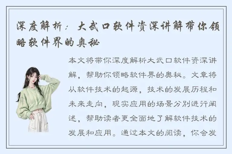 深度解析：大武口软件资深讲解带你领略软件界的奥秘