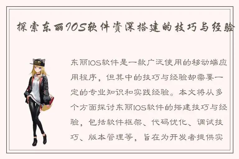 探索东丽IOS软件资深搭建的技巧与经验