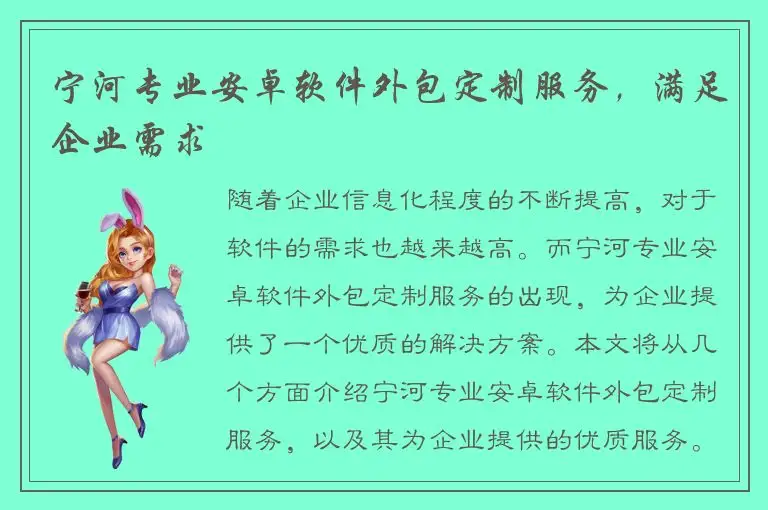 宁河专业安卓软件外包定制服务，满足企业需求