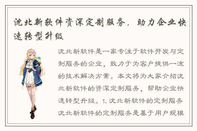 沈北新软件资深定制服务，助力企业快速转型升级