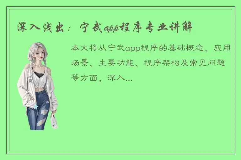 深入浅出：宁武app程序专业讲解